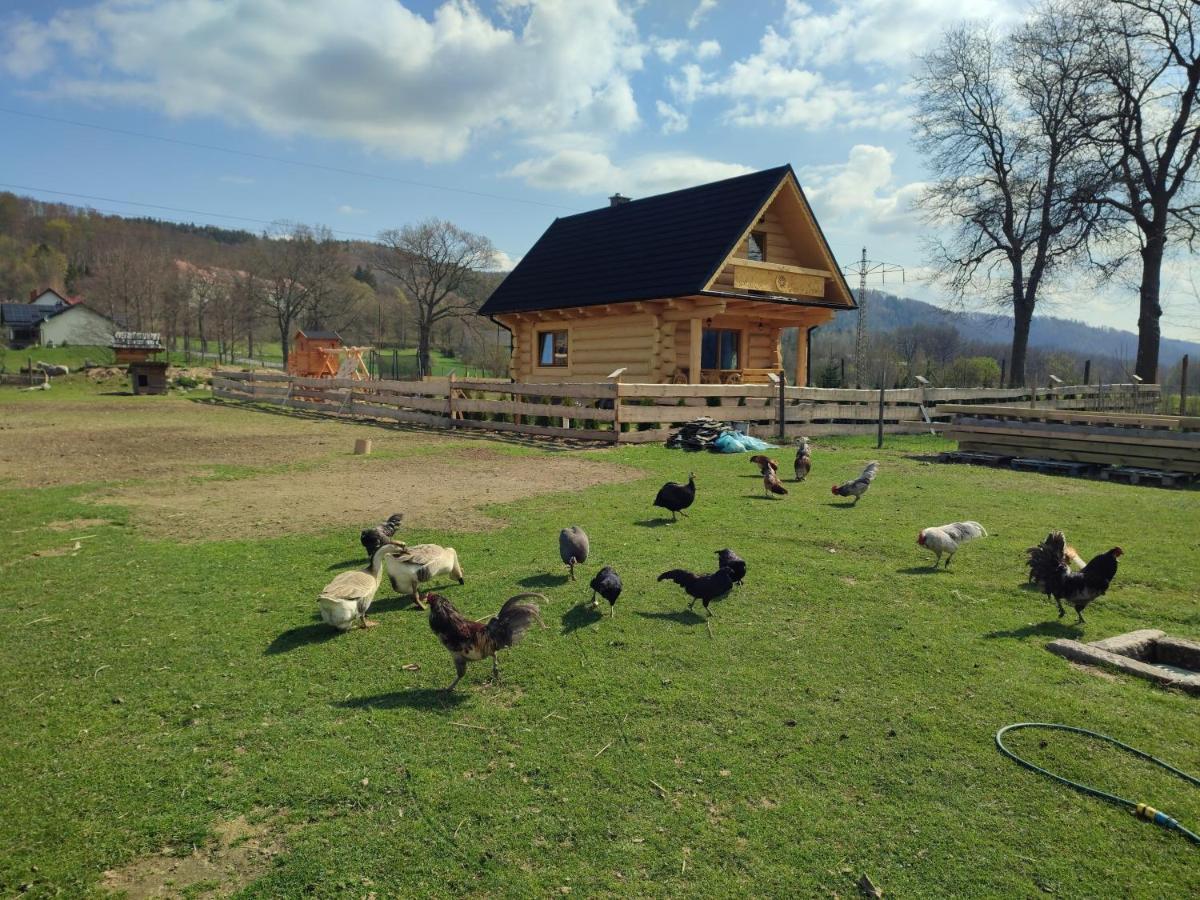 Sudecki Dym Z Kominkiem Kolo Karpacza. Agroturystyka Janowice Wielkie Eksteriør billede