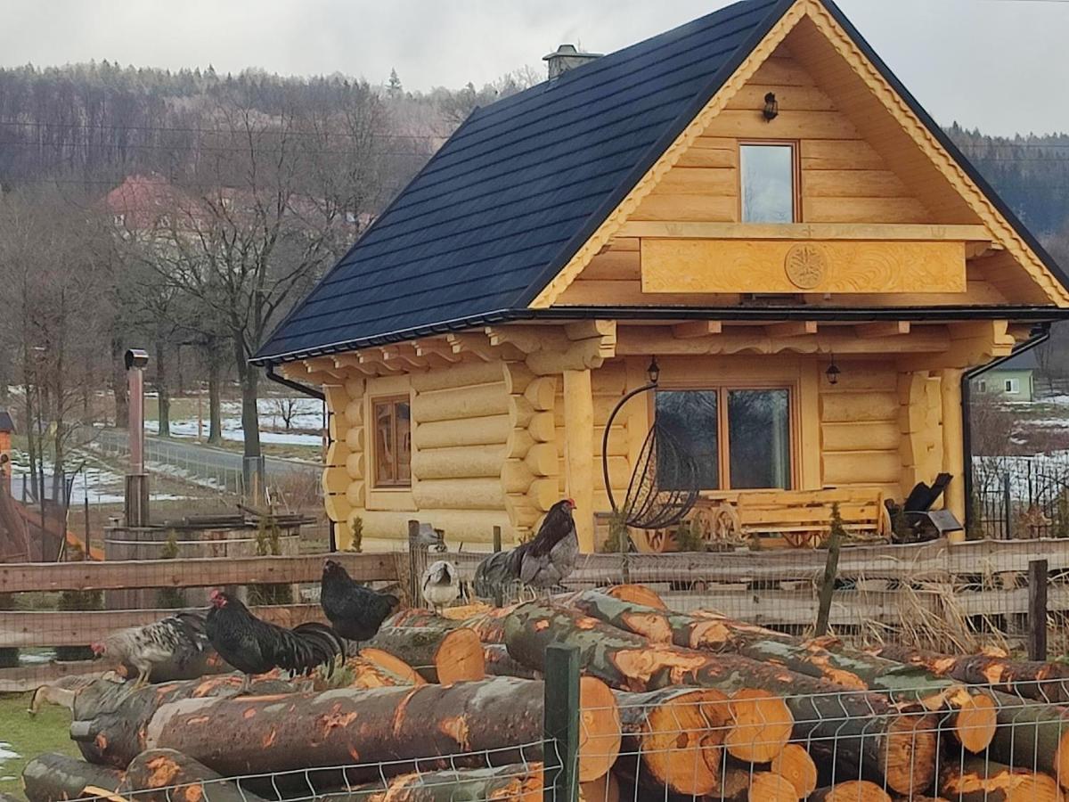 Sudecki Dym Z Kominkiem Kolo Karpacza. Agroturystyka Janowice Wielkie Eksteriør billede
