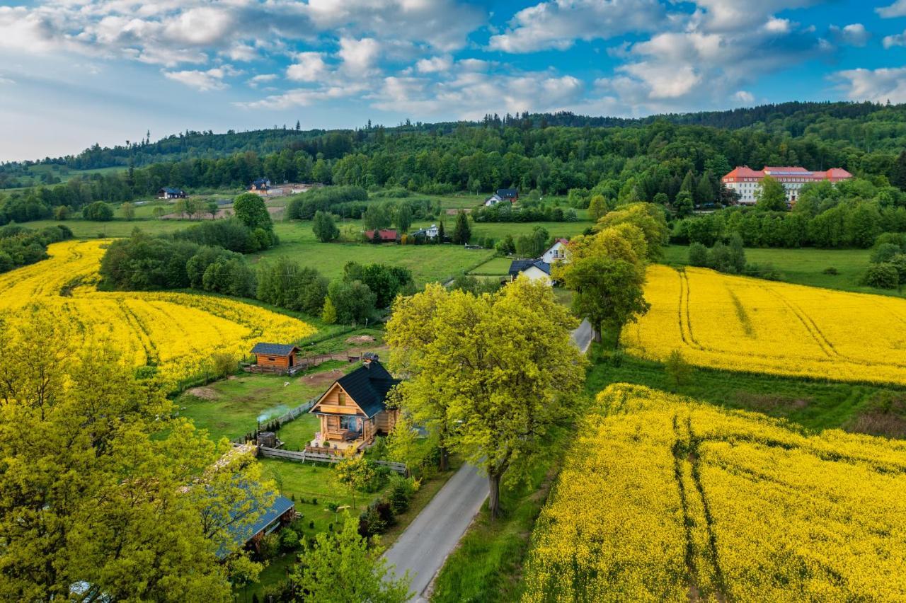 Sudecki Dym Z Kominkiem Kolo Karpacza. Agroturystyka Janowice Wielkie Eksteriør billede